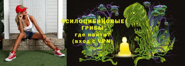 прущие крисы Алексеевка