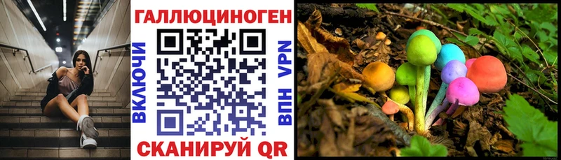 цена   Новая Ляля  Галлюциногенные грибы Psilocybe 